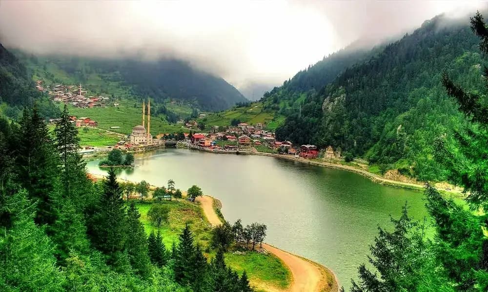Green Global Travel
